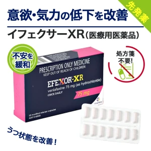 イフェクサーXR画像5