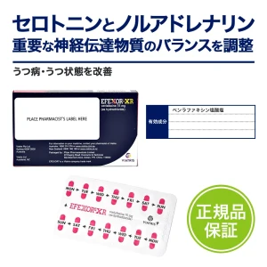 イフェクサーXR画像6
