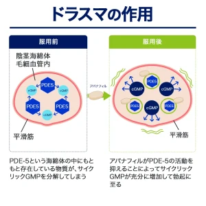 ドラスマ画像8