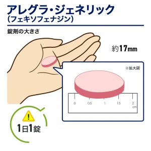 アレグラ・ジェネリック（フェキソフェナジン）画像8