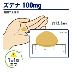 ズデナ画像7