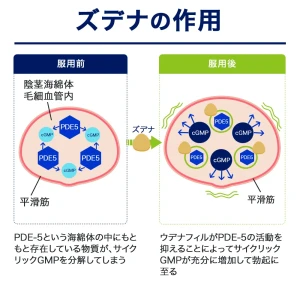 ズデナ画像8