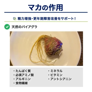 マカ画像6