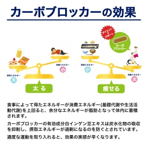 カーボブロッカー画像7