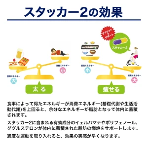 スタッカー2画像7