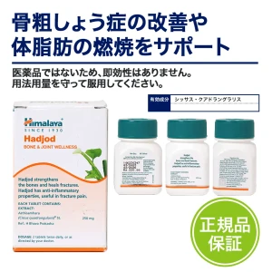ハジョッド画像9