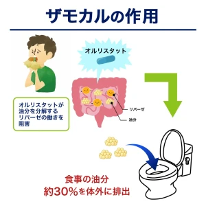 ザモカル画像7