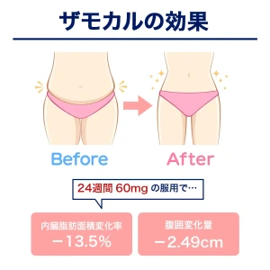 ザモカル画像8