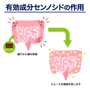 エックスラックス画像7