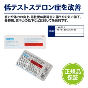 セルノス画像7