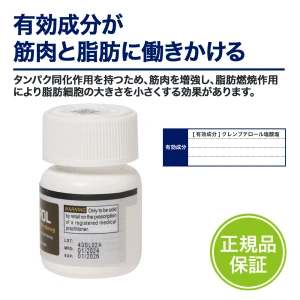 スピロテロール画像5