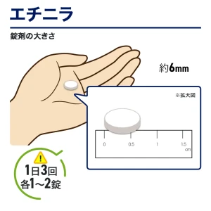 エチニラ画像8