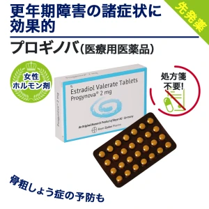 プロギノバ画像6
