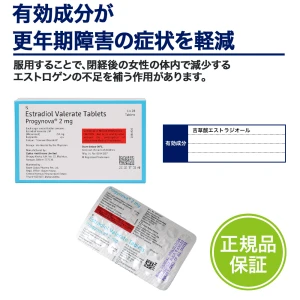 プロギノバ画像7