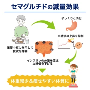 リベルサス画像7