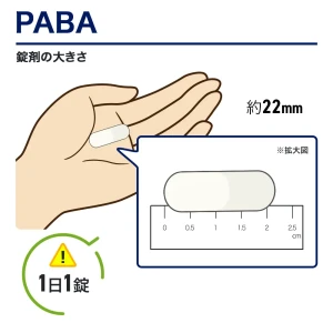 PABA画像6