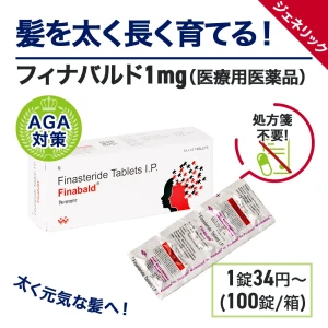 フィナバルド画像5
