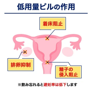ノベロン（低用量ピル）画像8