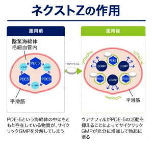 ネクストZ（ザイデナ・ジェネリック）画像8