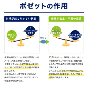 ポゼット画像7