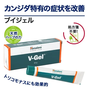 ブイジェル画像7