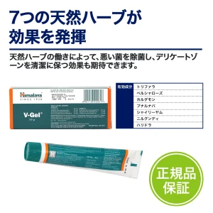 ブイジェル画像8