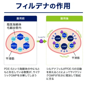 フィルデナ（バイアグラジェネリック）画像7