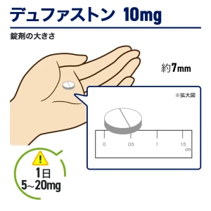 デュファストン画像8