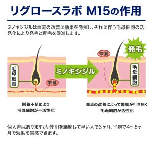 リグロースラボ M15画像8
