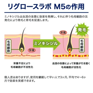 リグロースラボ M5画像8