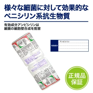 【数量限定 500円】ビクシリン・ジェネリック（アンピシリン）画像4