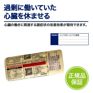 コンコール画像5