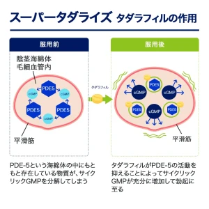 スーパータダライズ画像6