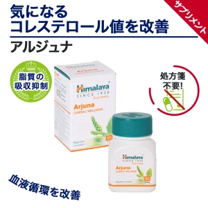 アルジュナ画像6