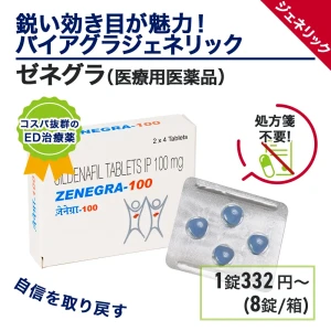 ゼネグラ画像5