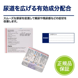 シロファスト画像7