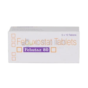 フェブリク・ジェネリック（フェブタズ）画像2