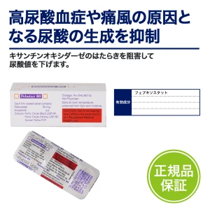 フェブリク・ジェネリック（フェブタズ）画像7