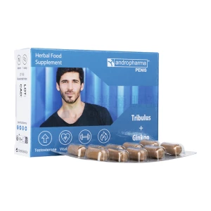 アンドロファーマペニス画像1