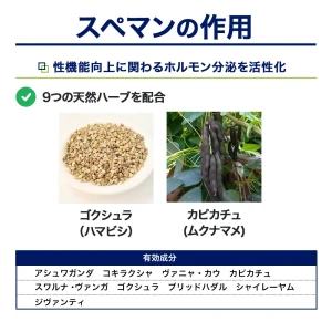 スペマン画像6