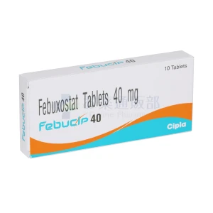 フェブリク・ジェネリック（フェブシップ）画像1