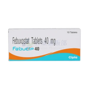 フェブリク・ジェネリック（フェブシップ）画像2