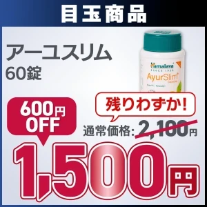 【2026初売:福袋 梅】