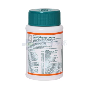 ジェリフォルテ画像2