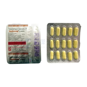 インドカップ画像2