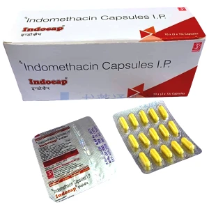 インドカップ画像1