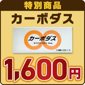 【GWキャンペーン2026】カーボダス画像1