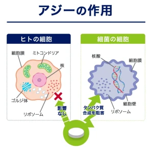 アジー画像4