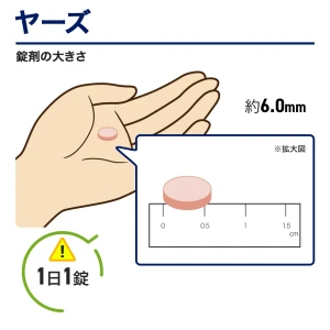 ヤーズ画像7