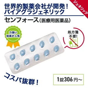 センフォース画像3